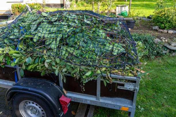 Moving and Downsizing Cleanouts in Carbondale, IL